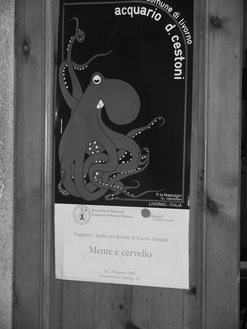 Clicca qui per tornare all'indice delle foto